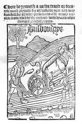 Mann pflügt ein Feld
